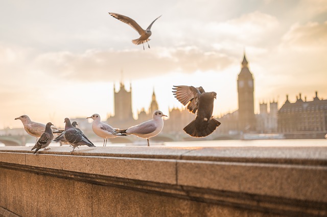 Dags för en helg i London